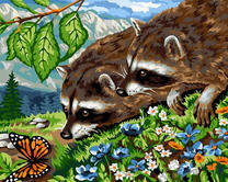 Еноты играют с бабочкой