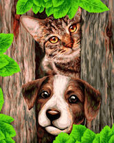 Котенок и щенок в заборе