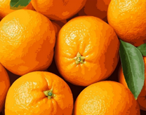 Яркие апельсины