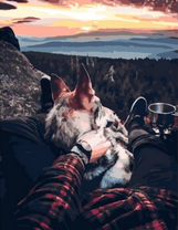 Парень с псом на вершине горы