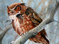 Филин на зимнем дереве