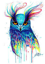 Яркая синяя сова