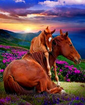 Лошадь с жеребёнком в горной долине