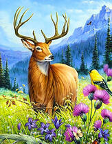 Большой красивый олень в горах