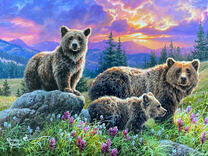 Пушистые мишки на весенней поляне в горах