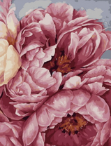 Нежность пионов