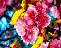 Цветение сакуры