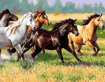 Прогулка лошадей на лугу