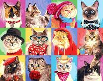 Коллекция котячьих портретов