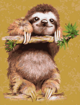 Ленивец на ветке