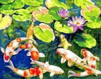 Карпы кои среди лотосов