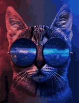 Кот со вселенной в очках