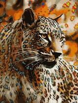 Грациозный гепард