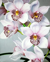 Оригинальные орхидеи