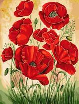 Нежные маки