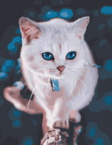 Светлая кошечка с голубыми глазами