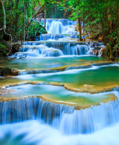 Каскадная река в густом лесу