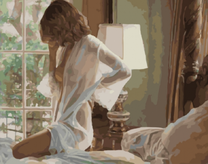 Обнаженная женщина в прозрачном пеньюаре