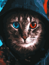 Разноглазый кот в капюшоне