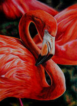 Нежный розовый фламинго