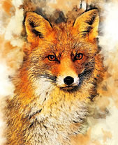 Рыженькая лиса