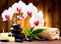 Набор для массажа и орхидея