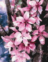 Нежные розовые цветочки на ветке