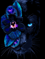 Черная пантера и орхидея