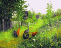 Деревенская жизнь петуха и курей