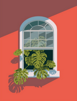 Монстера на окне