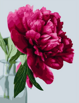 Одинокий пион в вазе