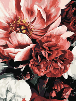 Роскошные цветы