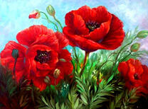 Алые цветки маков