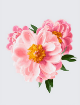 Три розовых пиона