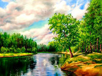 Спокойная река в величественном лесу