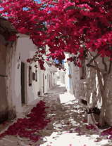 Белая улочка с розовым деревом