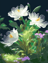 Прозрачные белые цветы