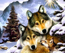 Красивая семья волков на фоне снежных гор