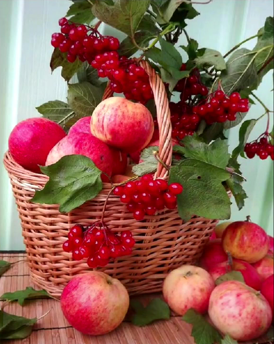 Картина по номерам 40x50 Осенний яблочно-калиновый урожай