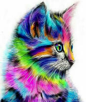Цветной котёнок