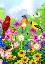 Разнообразие птиц ,бабочек и цветов