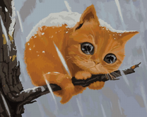 Замерзший рыжий котёнок