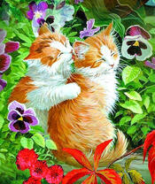 Кошачьи нежности