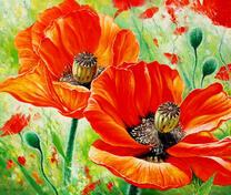 Два мака на поле