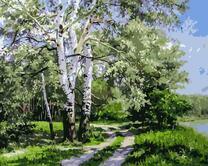  Белая береза