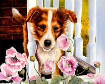 Песик и маки