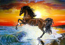 Скакун у моря