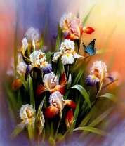 Бабочки и ирисы