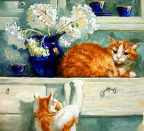 Игривые кошки