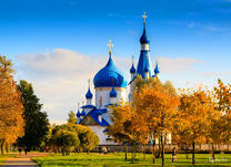 Синие купола виднеются сквозь деревья